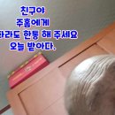 주홈 Daum카페