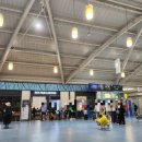 남호농장 | DaNang🏖 다낭 가족여행 첫째 날❤️ [호이아나 비치리조트 디럭스 오션뷰, 조식, 수영장, 다한스파] 7...