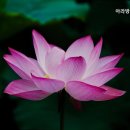 아라 요양원 이미지