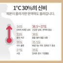 36.5체온다이어트 이미지