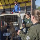 김성일농장 이미지