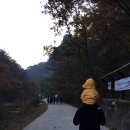 (주)에이원인터내셔날 | 2017.11.04 백두대간 그란폰도 2017