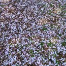 냉천마을 횡단보도 이미지