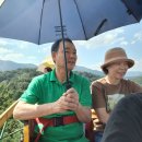 무등산 관광리프트 모노레일 시간 예약 광주 지산유원지