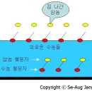 (10) 표면장력... 그리고 결혼 이미지