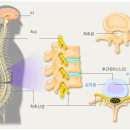 참조은병원 이미지