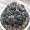 마옥농장 이미지