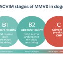 광명 24 아이디동물의료센터 이미지