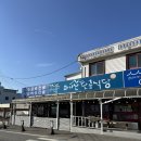 [강화도 식당 : 마니산단골식당]화도면 젓국갈비전골+천마리새우전+파전 후기/추천 메뉴