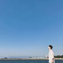 차차차 이미지