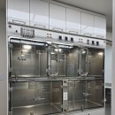 치유동물병원 이미지