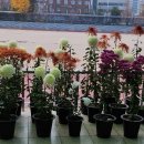 풍납초등학교 이미지