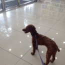 다원 동물병원 이미지