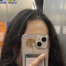 범계사거리 새마을금고 쪽 | 안양미용실 플랜에이치 범계호계점 뿌리매직 후기