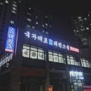 국가대표 태권스쿨 태권도장 이미지