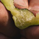 규용농장 이미지