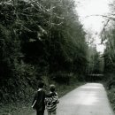 친구처럼B 이미지