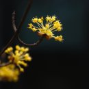 풍요로운 기다림 이미지