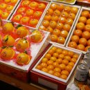 정콜렉션 이미지