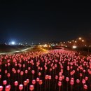 장미정원 이미지