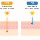 페이스파트너스 | 여름철 자외선 진짜 심각하죠. | 요즘 산책할 때 쓰는 페이스커버 후기
