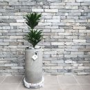 에코르아파트 앞 이미지