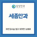 세종안과 이미지