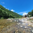 가평 북면 물소리펜션 은행나무룸 내돈내산 찐 후기(2021.07.16 ~ 2021.07.17)