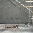 VIP아쿠아카페 이미지