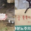 “이사 가는 바람에^^♡”…강아지 버리고 이사 간 견주의 ‘황당’ 메모 이미지