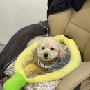 201헤어룸 | 경성대 미용실 바이룸헤어 부산 레이어드펌 후기