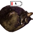 청학 승마클럽 이미지