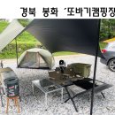 경북 봉화 계곡있는 또바기캠핑장 B4 여름캠핑 후기