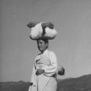 한끼의행복 Daum카페