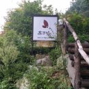 차뜨락 이미지