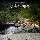 대장동 성흥1교 | 부산, 창원 근교 여름철 물놀이 가볼 만한 성흥사 계곡