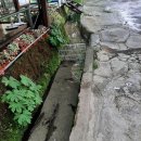 밤나무집 이미지