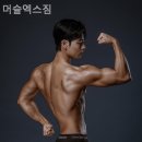 머슬엑스짐 이미지