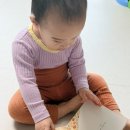 앤서니브라운의 우리가족 | 아기 최애책 앤서니브라운 우리가족 보드북 후기