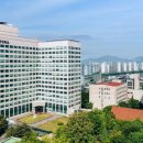 2018년 거리로 나온 예술 이미지