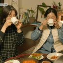 하이바틀 이미지