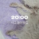 스쿱543