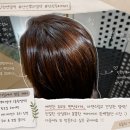천연염색 | [안산 초지동]아비가일 안산지사 후기｜안산천연염색부터 두피케어까지