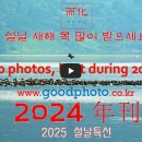 2024년 연간사진영상 이미지