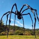 호암플라자 이미지