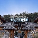 영일세탁 | 경주 보문단지 근처 한옥숙소 자쿠지, 개별수영장 경주 휴영지 풀빌라 (맛집 함양집 바로 옆)