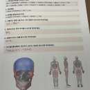 청라 에스테틱 작은얼굴관리 커스텀 진 에스테틱 가격 후기