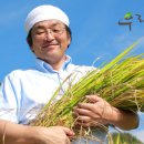 함안친환경안전농산물영농조합법인 이미지