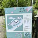 비룡로 | 남양주 반려견 수영장 온천 카페 소소온기 솔직후기