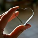 새서귀초등학교 이미지